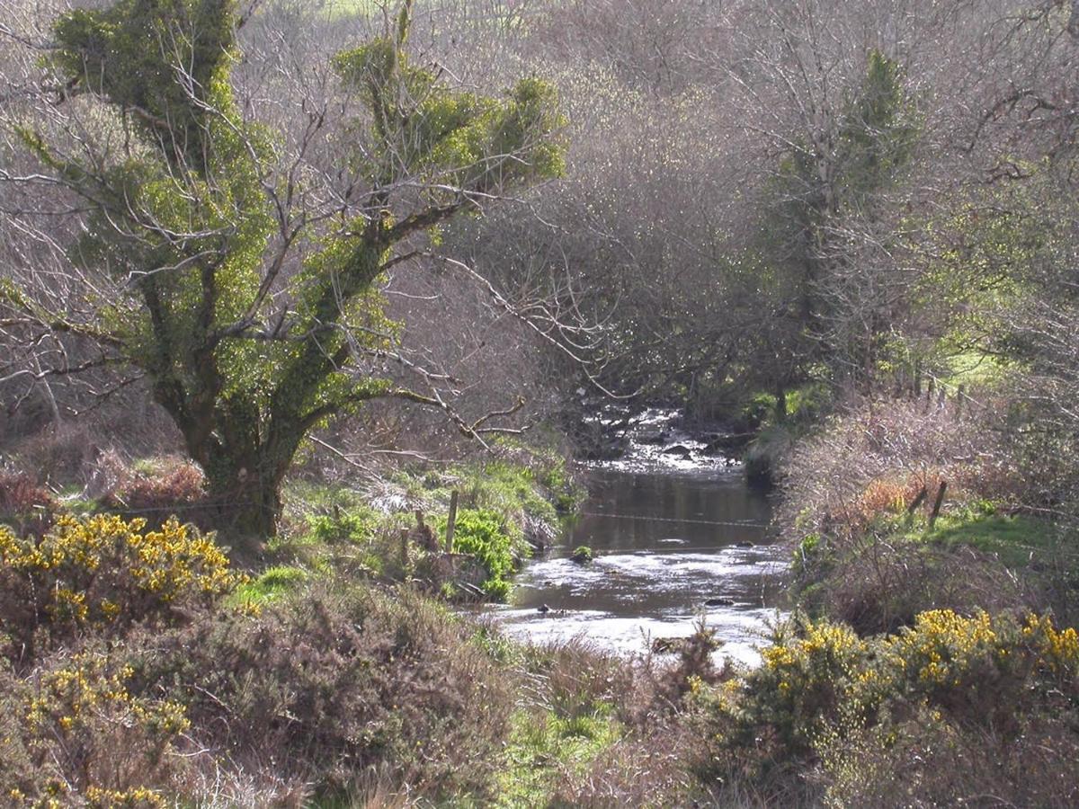 Ravens Oak, West Cork Apartment Bantry Ngoại thất bức ảnh