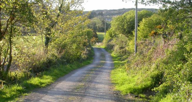 Ravens Oak, West Cork Apartment Bantry Ngoại thất bức ảnh
